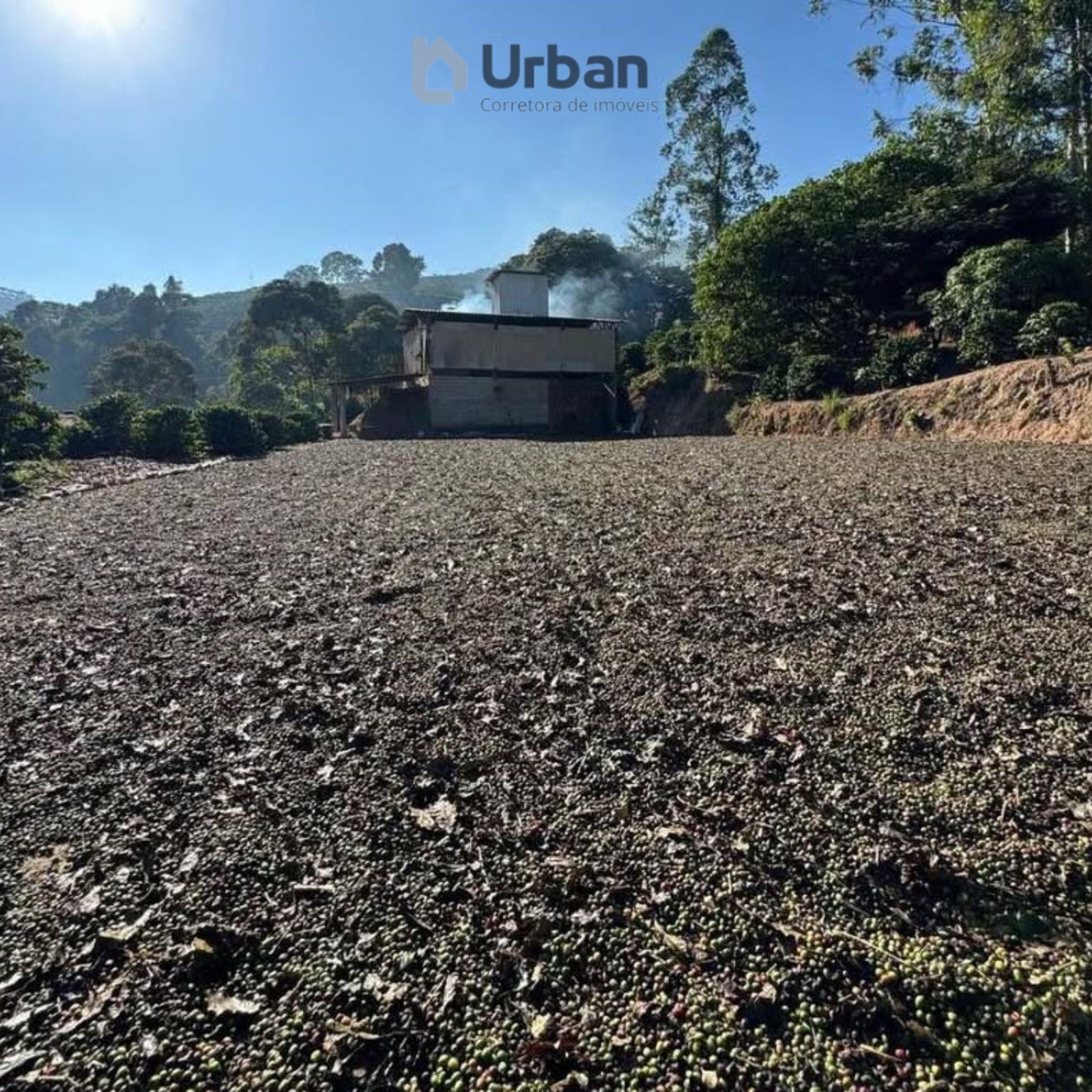 WhatsApp Image 2025-09-24 at 13.01.14