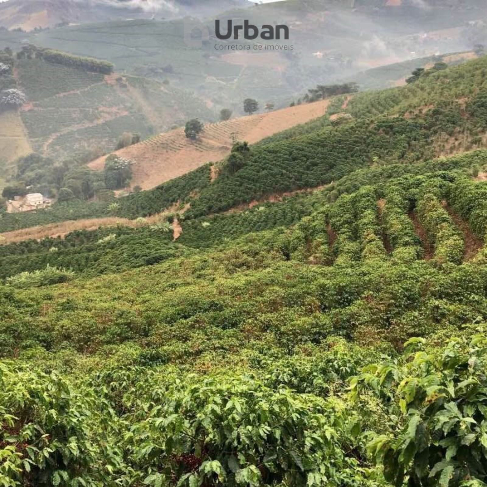 WhatsApp Image 2025-09-24 at 13.01.15