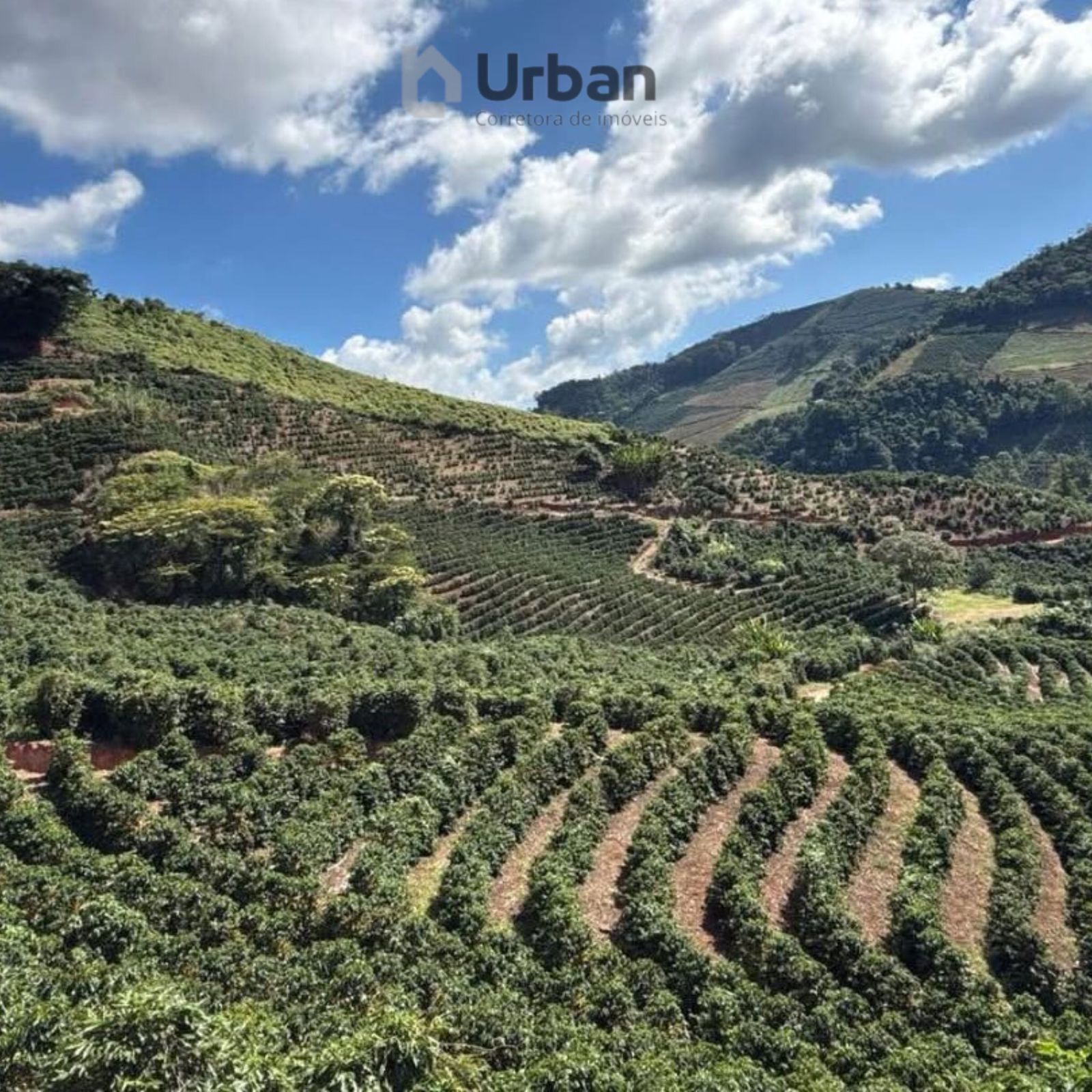 WhatsApp Image 2025-09-24 at 13.01.16